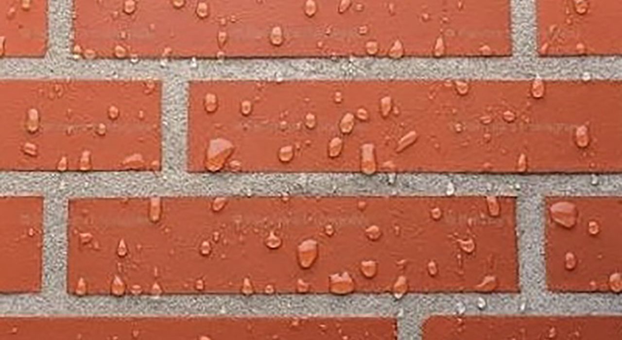 IMG_4151